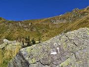 28 Lasciamo il sent. 101 per prendere a dx sentierino per il Monte di sopra